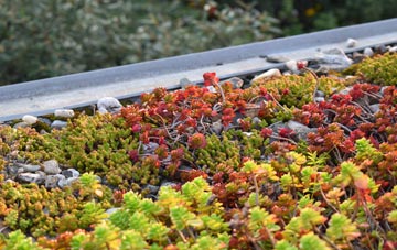 the cost of Stoke Holy Cross green roof installation