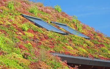 Stoke Holy Cross living roof systems