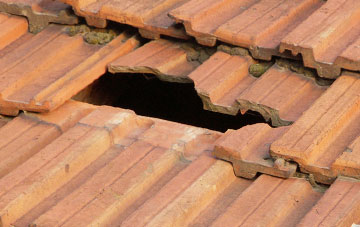roof repair Stoke Holy Cross, Norfolk